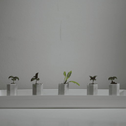 Capture d’écran 2018-03-30 à 12.12.20.png Tiny self-watering planter